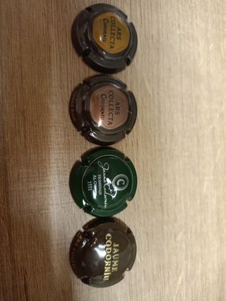 Pack 4 placas codorniu
