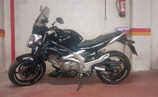 Suzuki Gladius 650