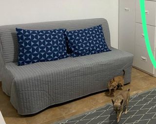 Sofá cama plegable gris - 142x100cm