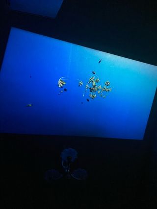 Projector HY300 Magcubic Pro 4k