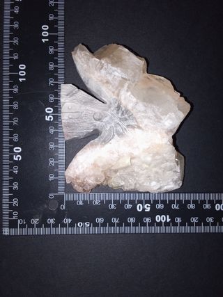 Bellissimo minerale di calcite