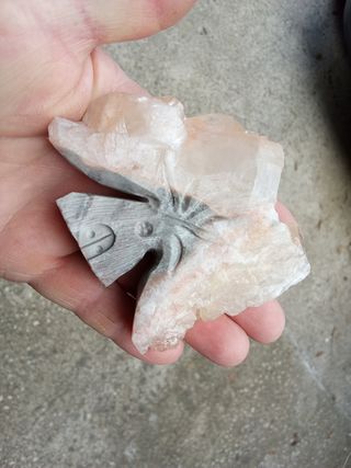 Bellissimo minerale di calcite