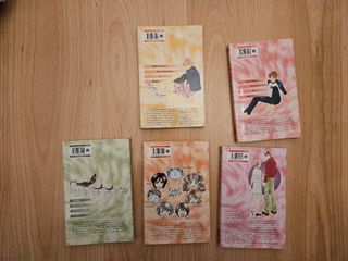 Manga shojo Fiebre de Amor CASI COMPLETA