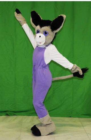 Vendo COSTUME DA LUPO nuovo di zecca