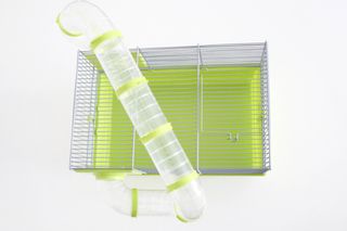 Jaula para hámster ruso y roborowsky