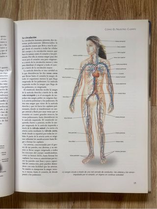 El médico en casa. Primeros auxilios