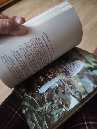 El bosque y sus hongos, 247 páginas