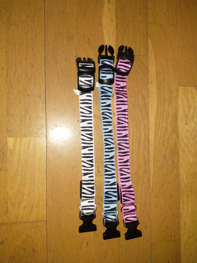 Collares perro con luz