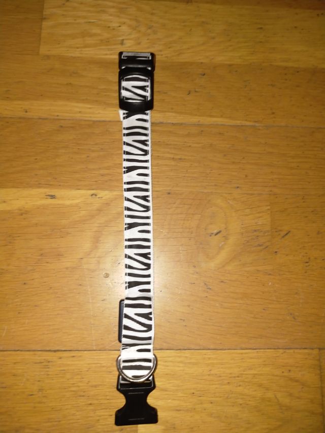 Collares perro con luz