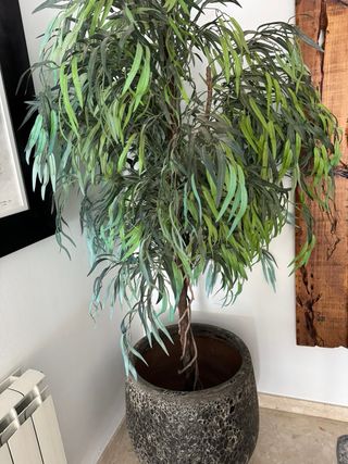 Planta artificial 180cm