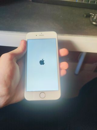 Pacchetto iPhone 6 e iPhone 6s