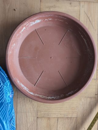 5 platos macetas 24 cm