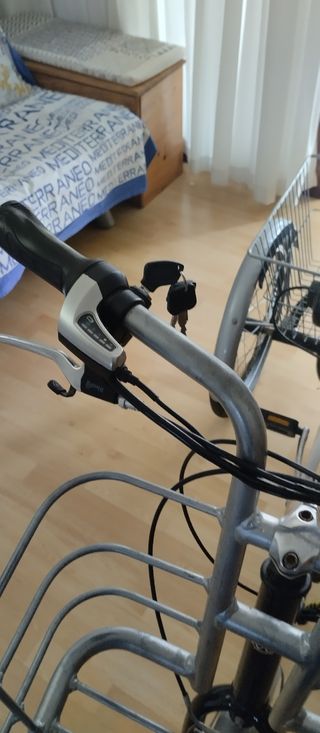 Triciclo eléctrico monty