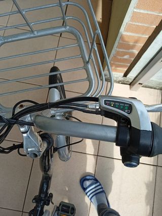 Triciclo eléctrico monty