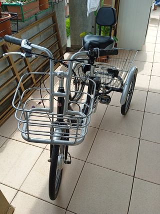 Triciclo eléctrico monty