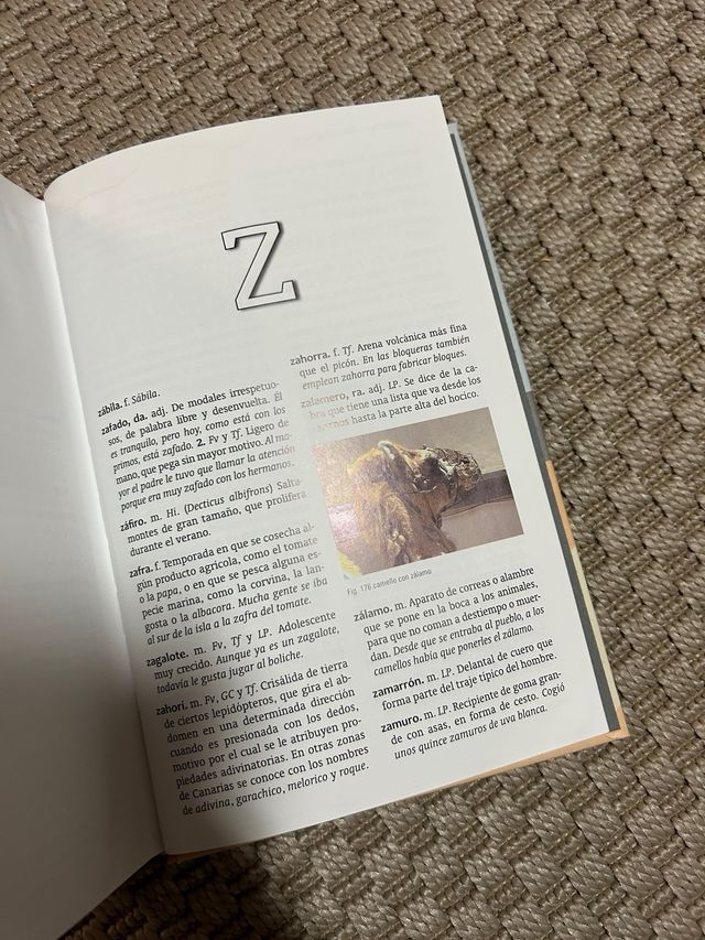 Diccionario básico de canarismos