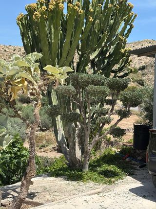 Jardinero Economico