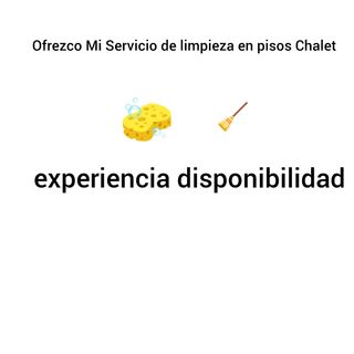 Servicio Limpieza Chalets