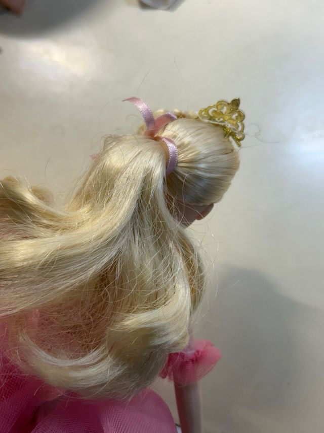 Barbie ballet wishes 2018