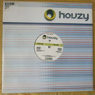 Lote 8 vinilos House