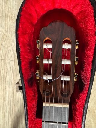 Guitarra antigua clásica Palo Santo de rio