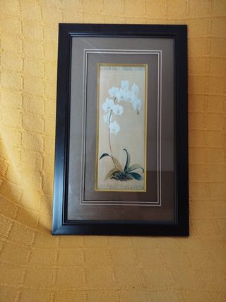 Cuadro Orquídeas Blancas
