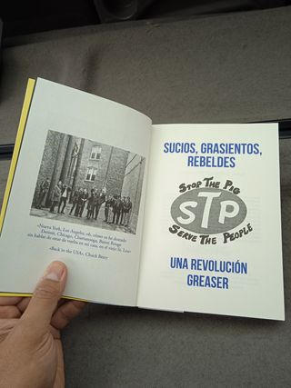 Sucios grasientos rebeldes