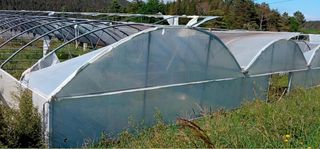 Invernaderos en Provincia de Lugo
