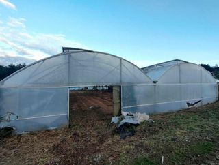 Invernaderos en Provincia de Lugo