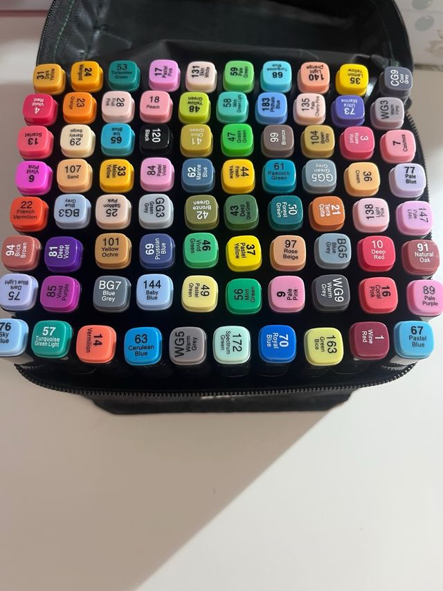 Set 80 Rotuladores de Doble Punta con estuche