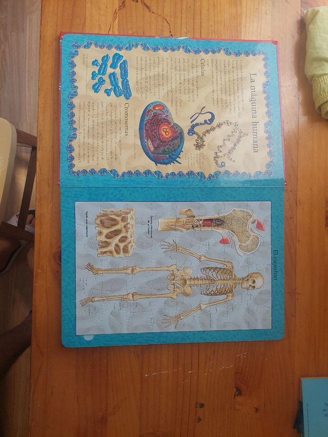 El Cuerpo Humano Libro Puzle