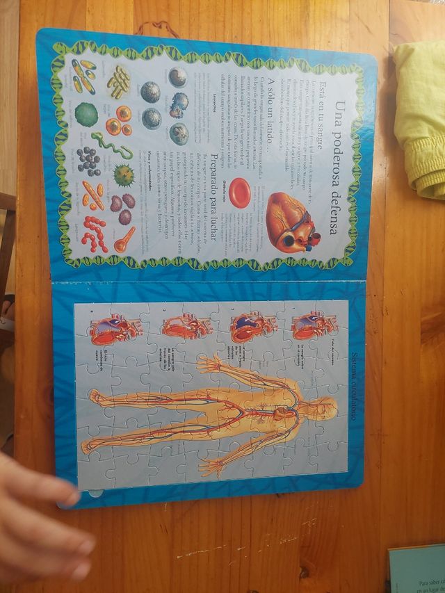 El Cuerpo Humano Libro Puzle