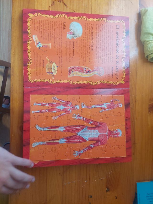 El Cuerpo Humano Libro Puzle
