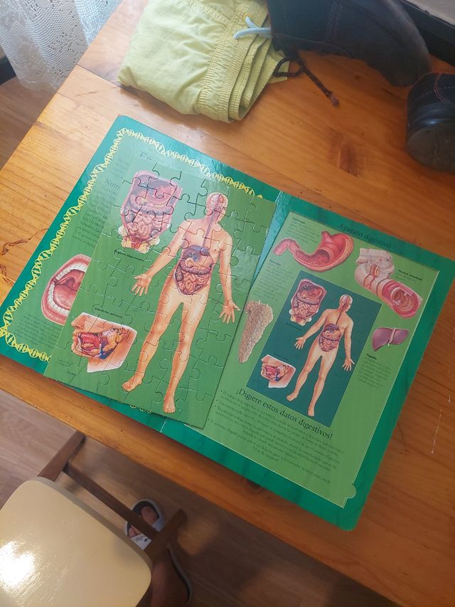 El Cuerpo Humano Libro Puzle