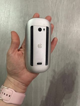 Magic Mouse apple