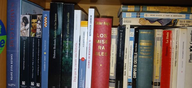 NOVELA ACTUAL/CLÁSICA