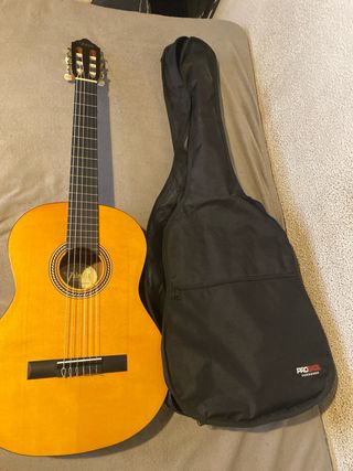 Guitarra española valencia