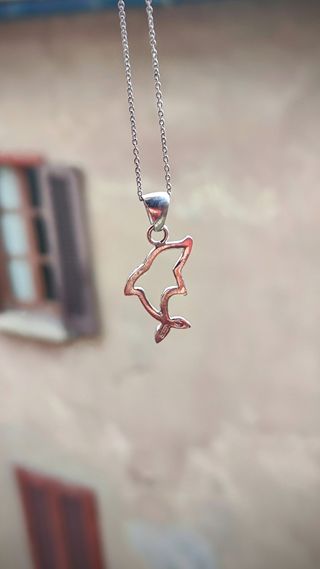 Collana in Argento 925 delfino