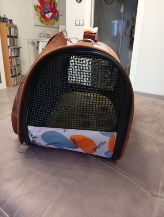 Transportin perro gato