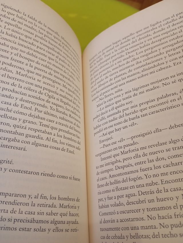 La reina sin nombre (Spanish Edition)