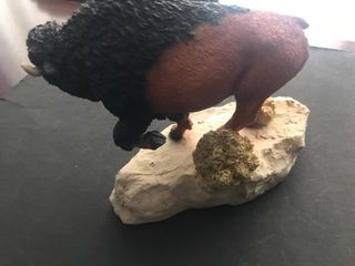Statua Bisonte Americano