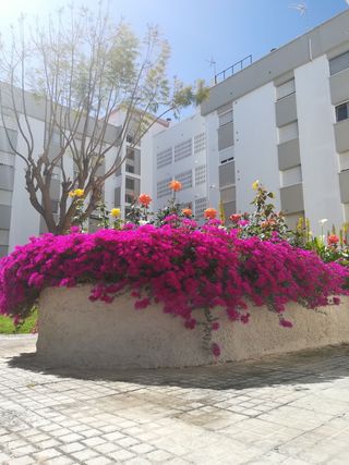 Apartamento vacacional