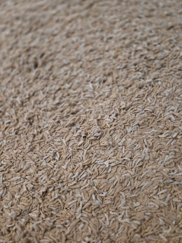 Alfombra beige 190x135cm. Creo que es de ikea