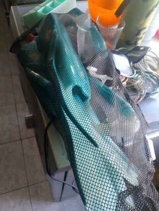 Traje neopreno buceo