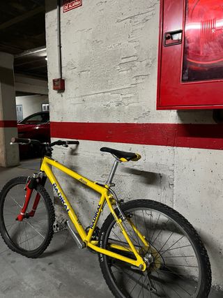 Bicicleta montaña Radical