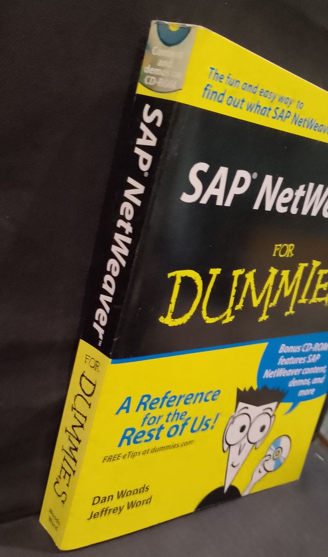 SAP NetWeaver for Dummies - Dan Woods e Jeffrey Wo