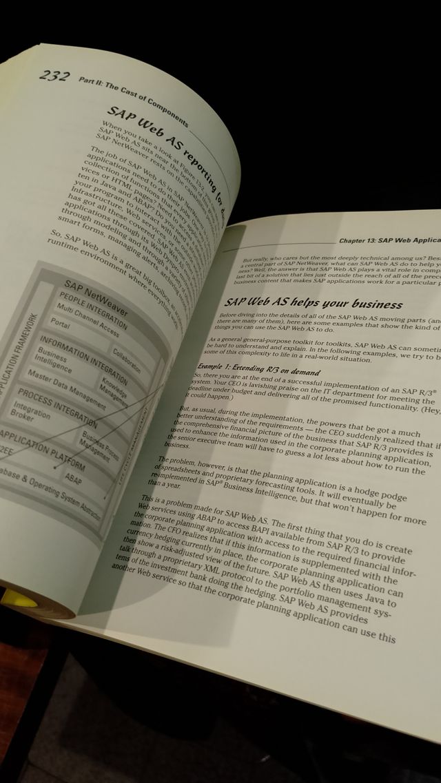 SAP NetWeaver for Dummies - Dan Woods e Jeffrey Wo