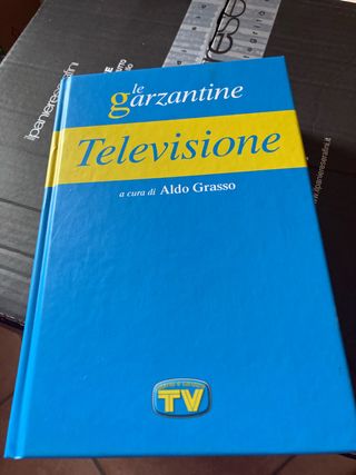 televisione