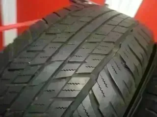 275 60 R18 113H Dunlop 2 neumáticos +80%