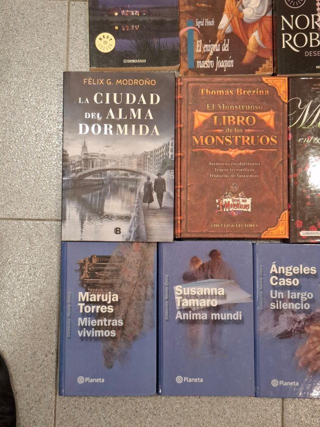 Lote 27 novelas diferentes autores libros
